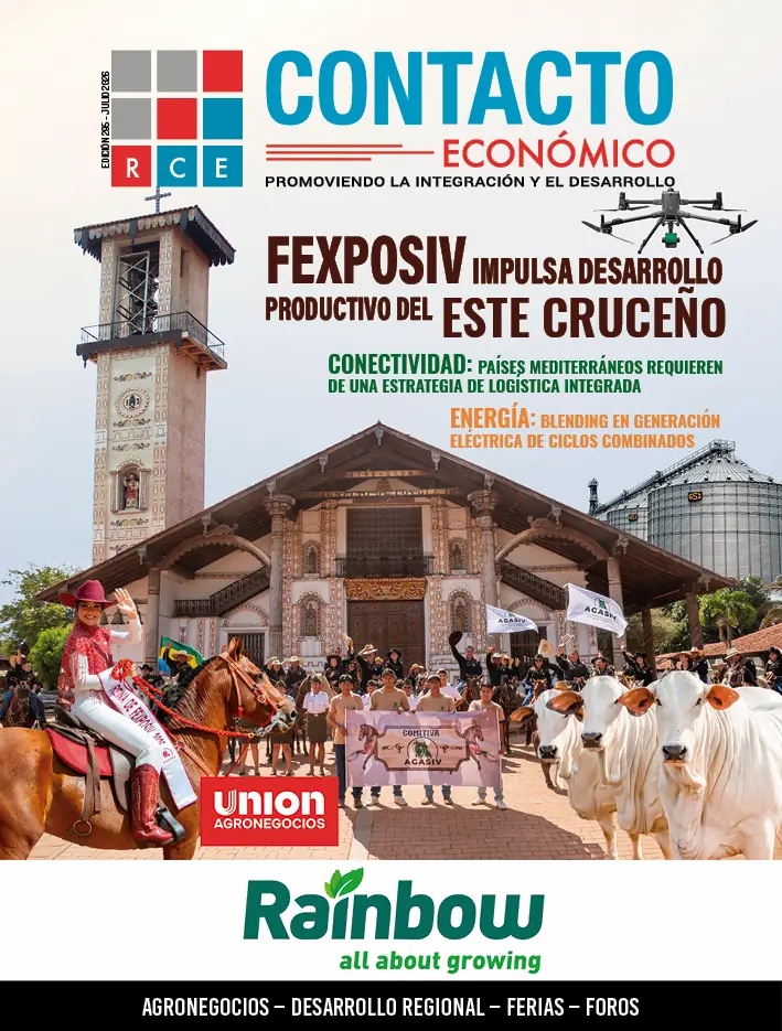 Edición 295